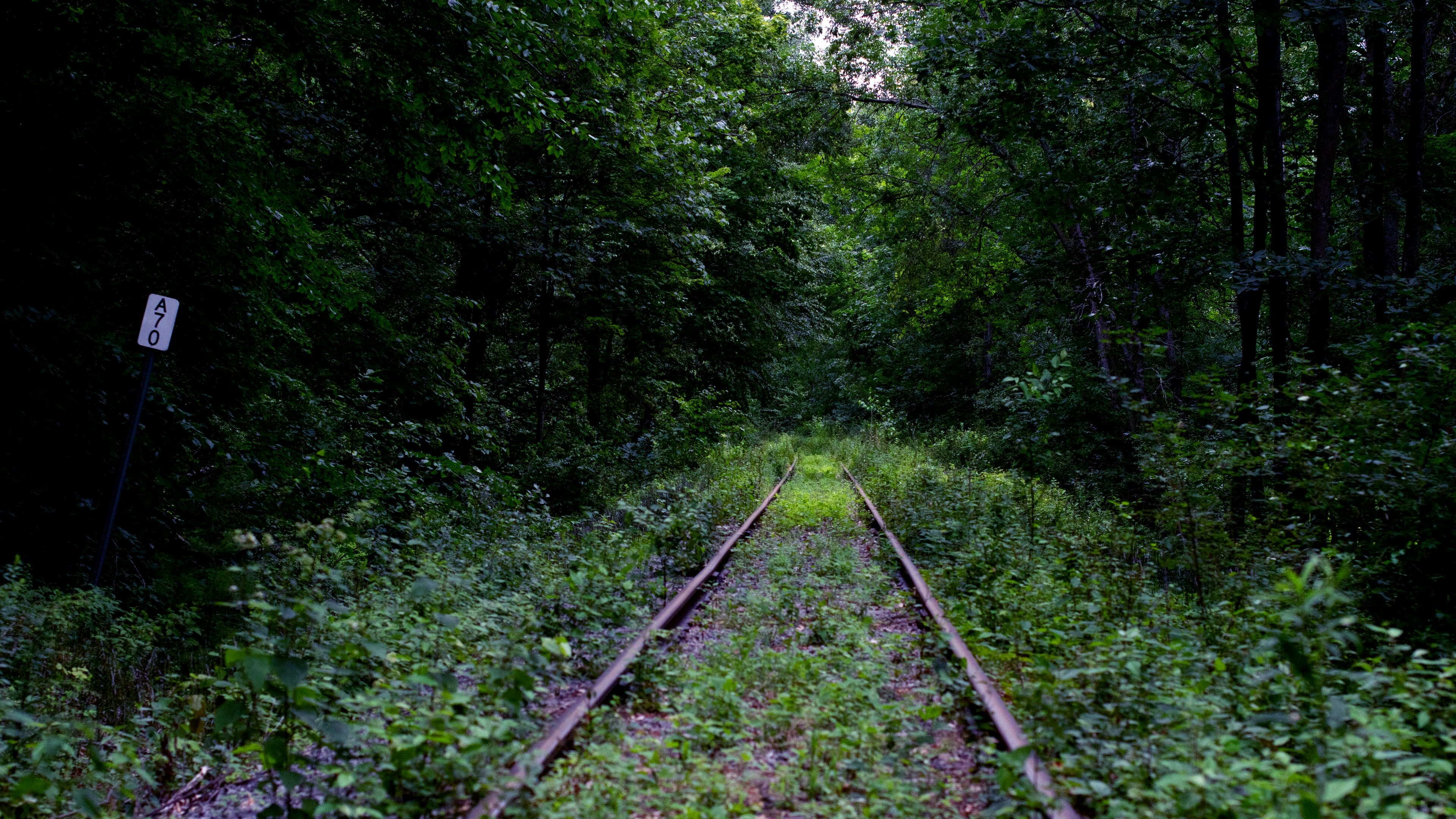 The Trail Nobody Maintained